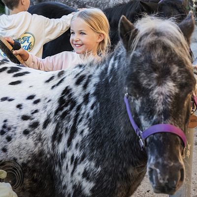 Ponycamps und Reiten im Narzissendorf Zloam.jpg