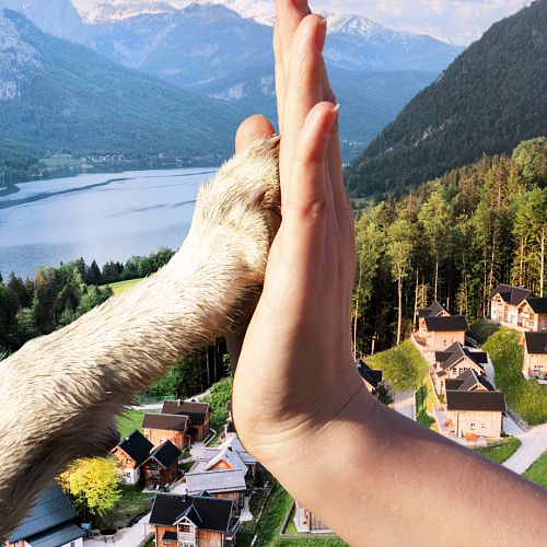 Pfoten-Glück inklusive