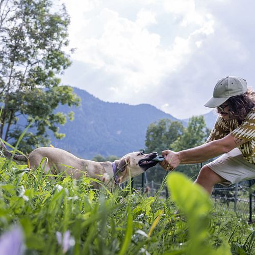 Pfotentage am Grundlsee