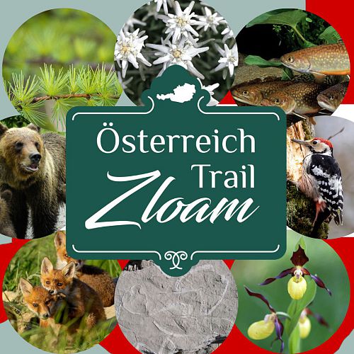 Österreich-Trail Zloam