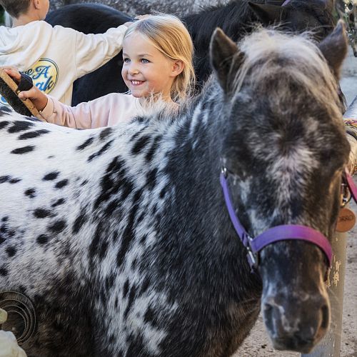 Pony Tages- und Wochencamps