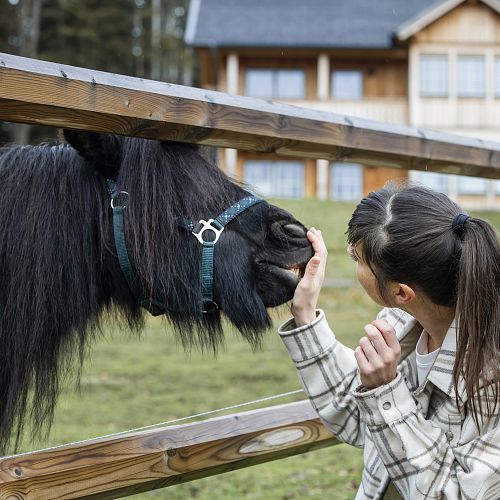 Reiten im Narzissendorf Zloam